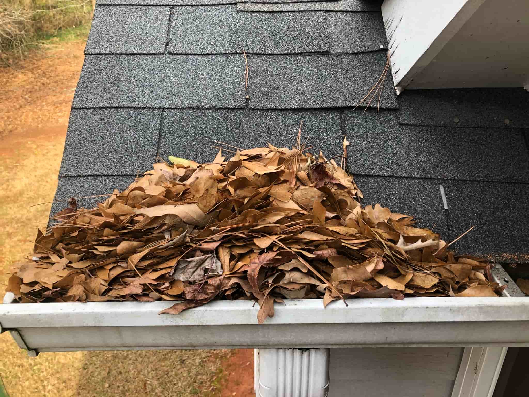gutter edge cleaner