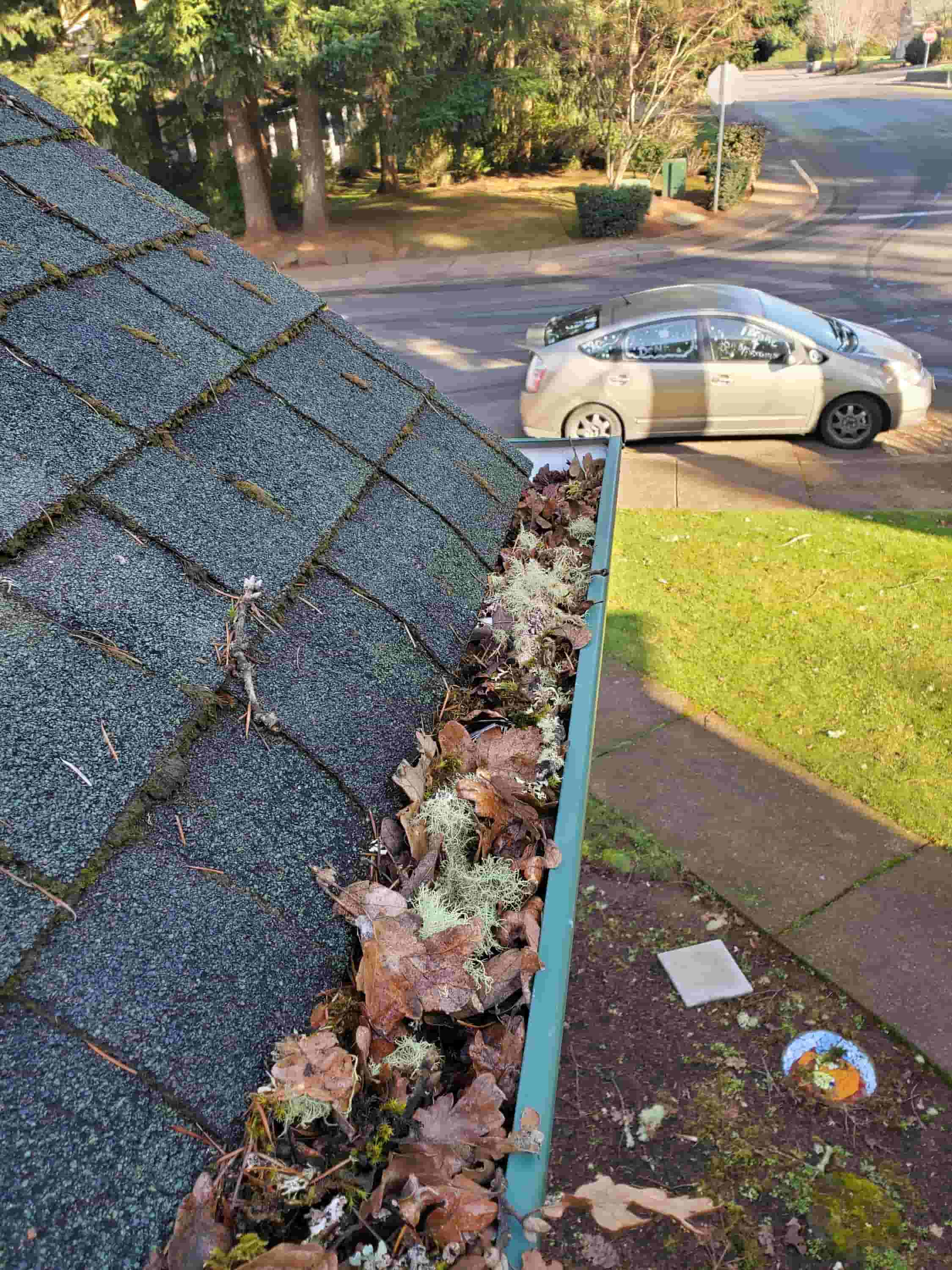 clean leaves off roof