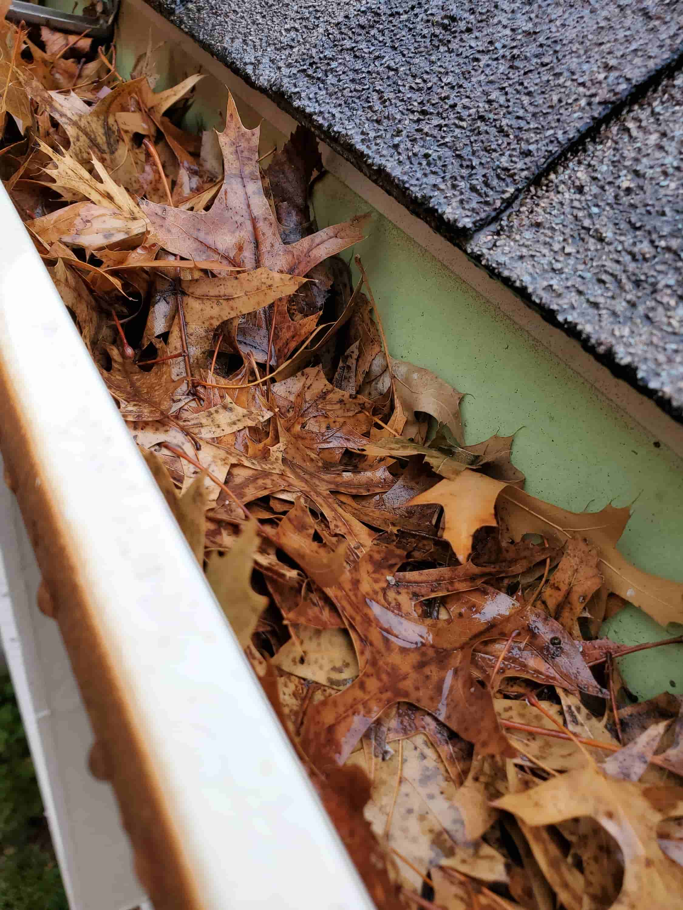 best way to clean out gutters