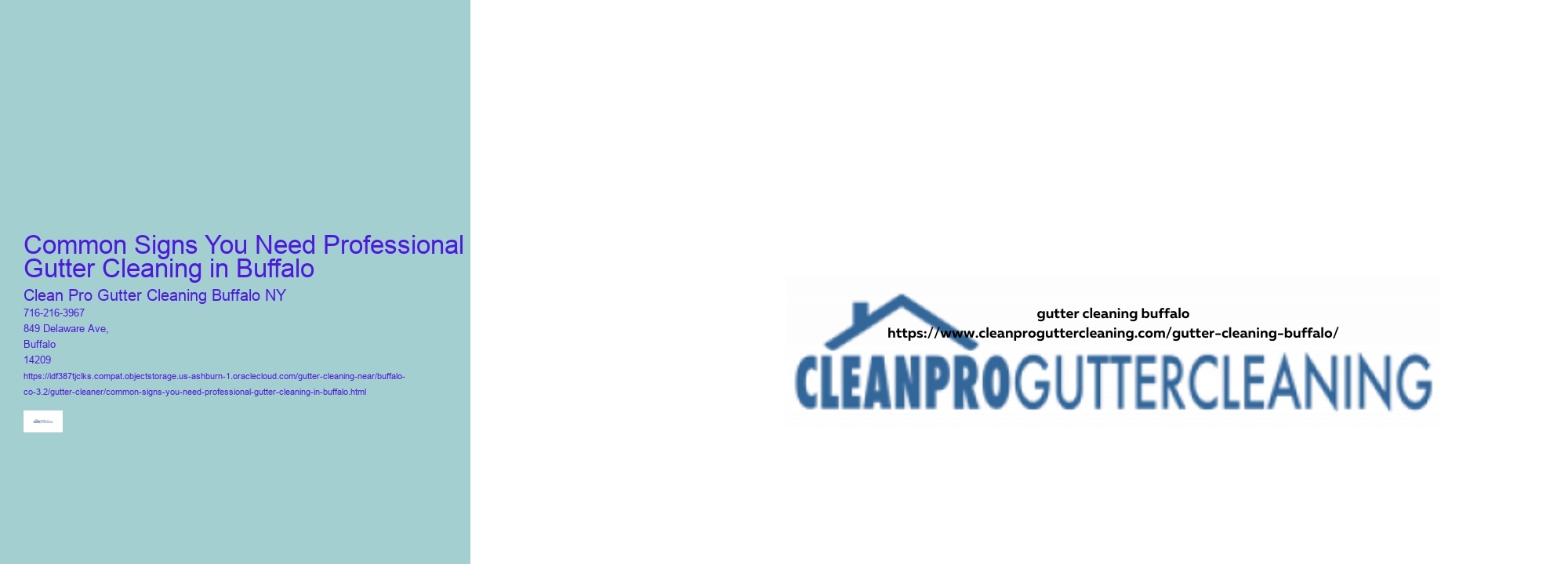 Common Signs You Need Professional Gutter Cleaning in Buffalo 