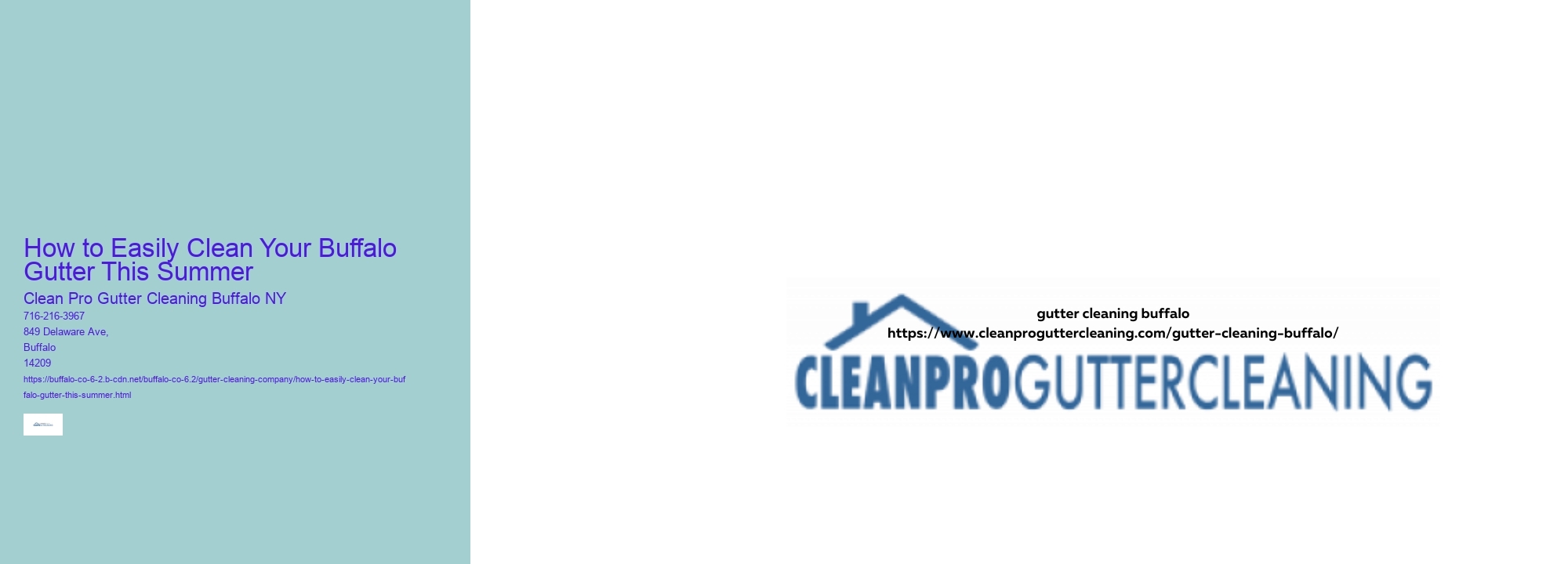 How to Easily Clean Your Buffalo Gutter This Summer 