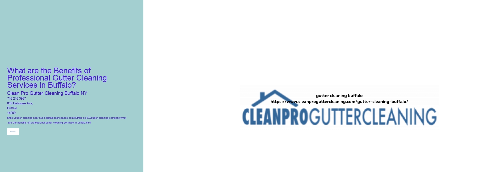 What are the Benefits of Professional Gutter Cleaning Services in Buffalo? 