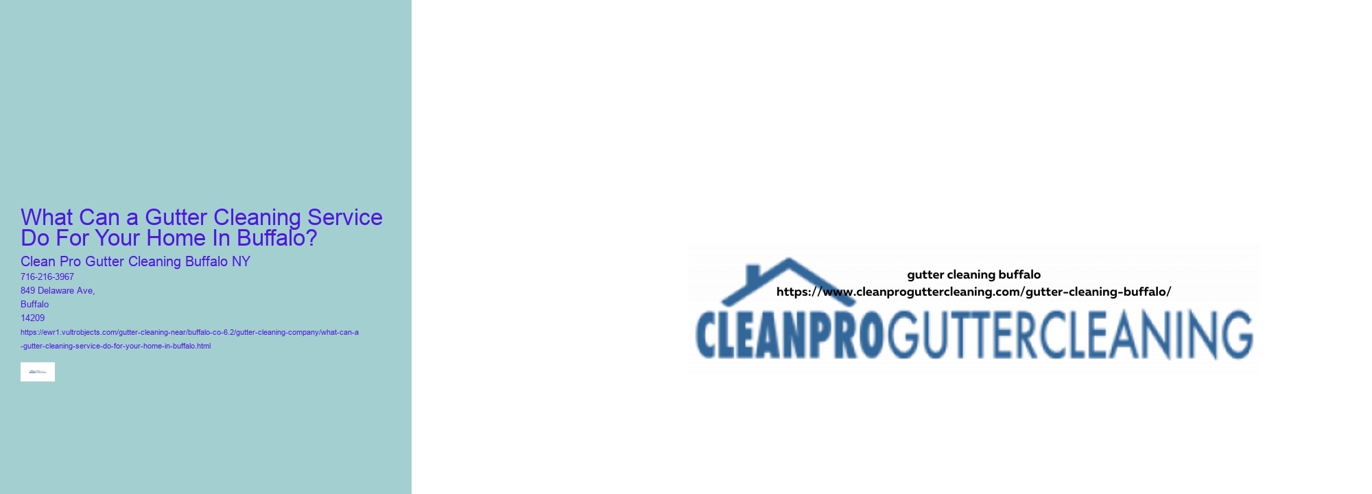 What Can a Gutter Cleaning Service Do For Your Home In Buffalo?