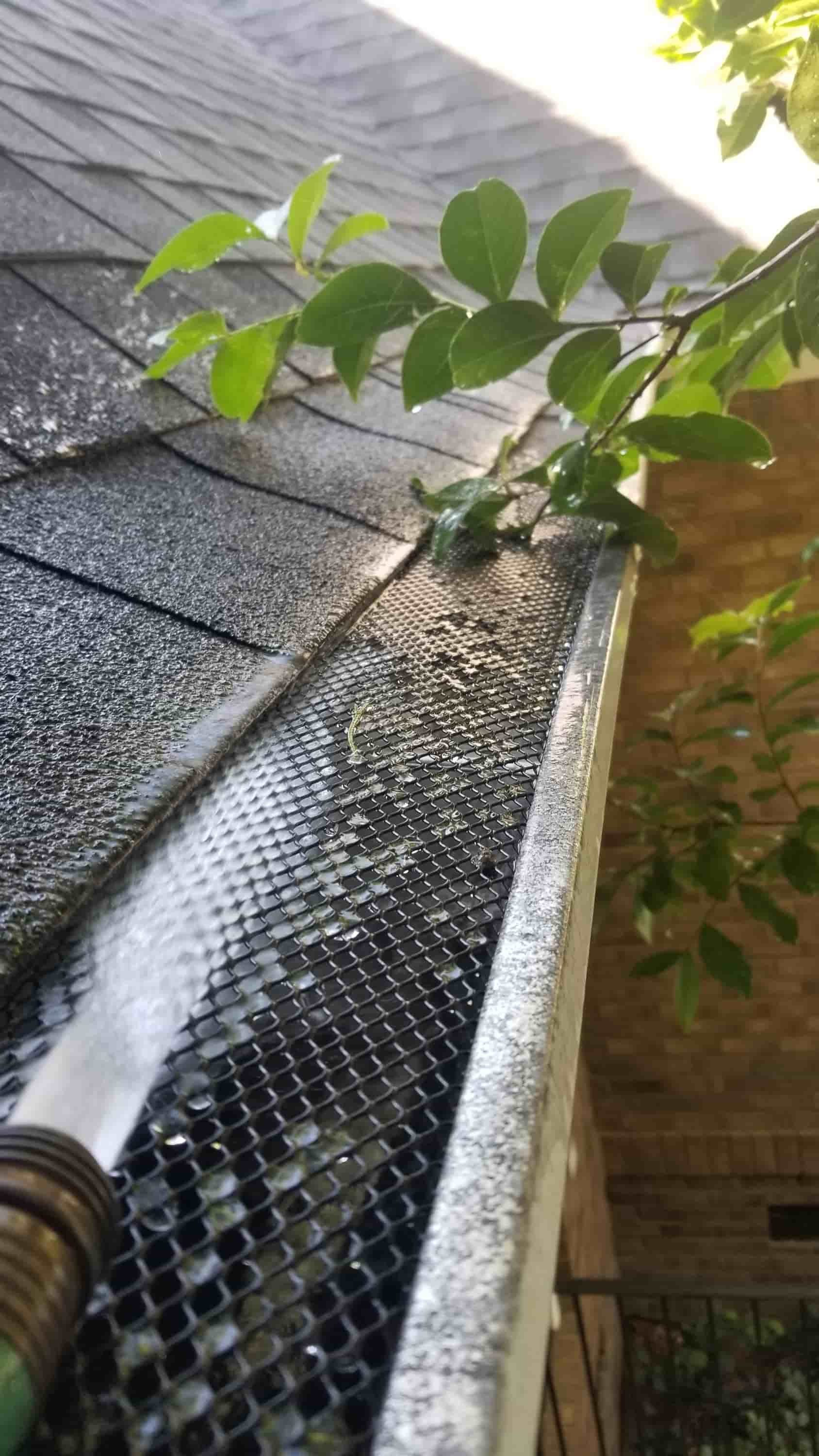 rain gutter cleaning services