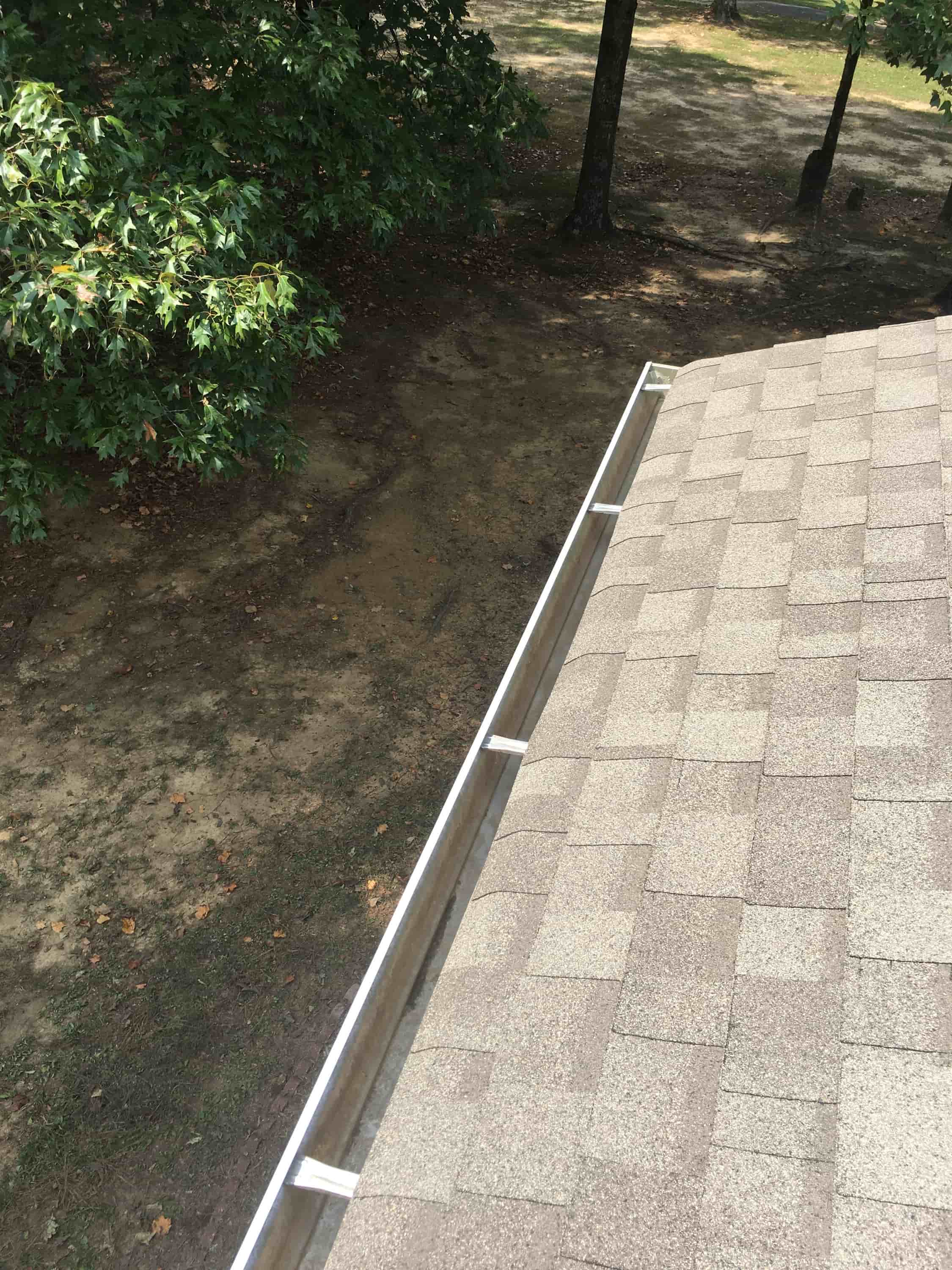 blow leaves off roof