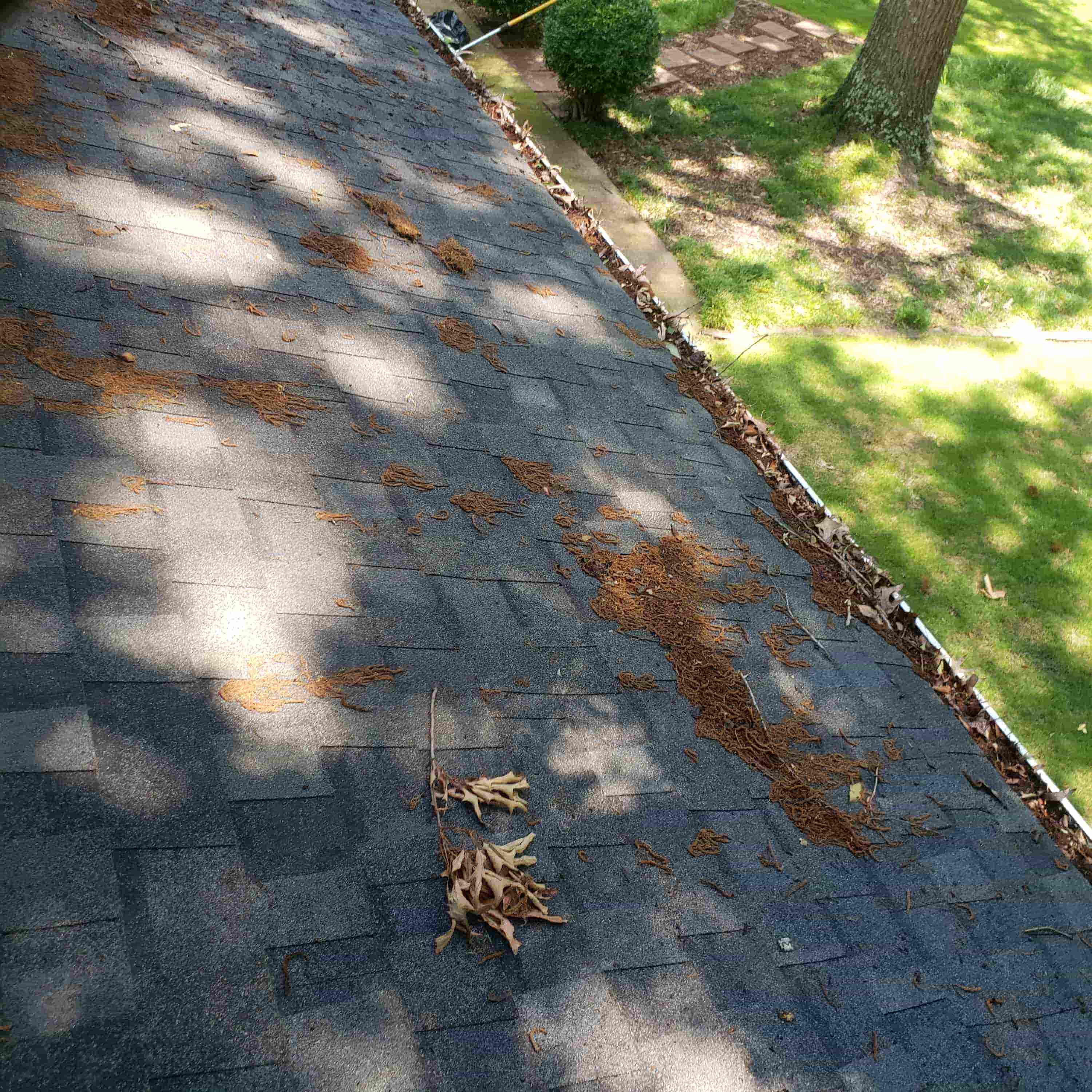 how to clear gutter drains