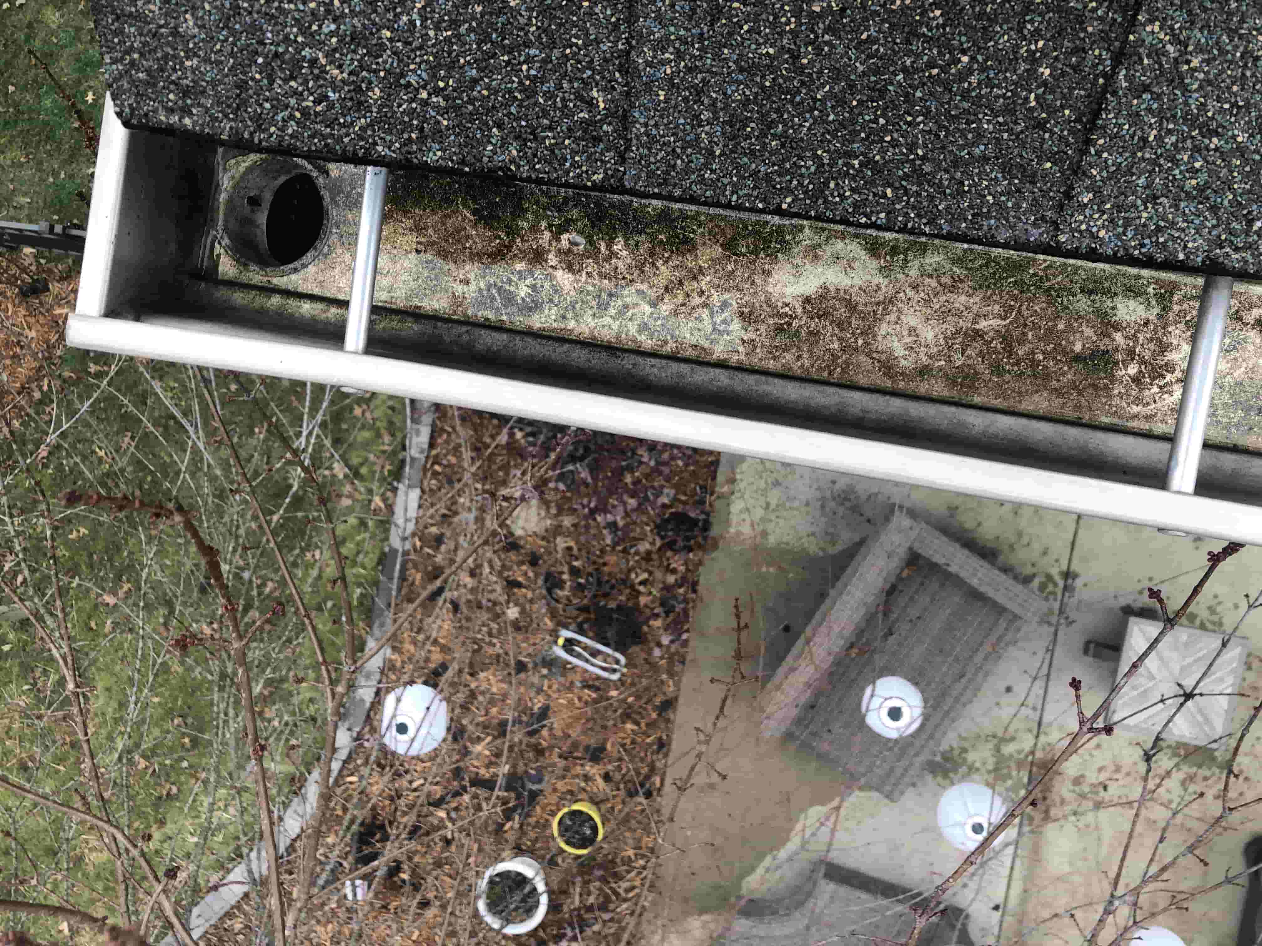 fall gutter cleaning