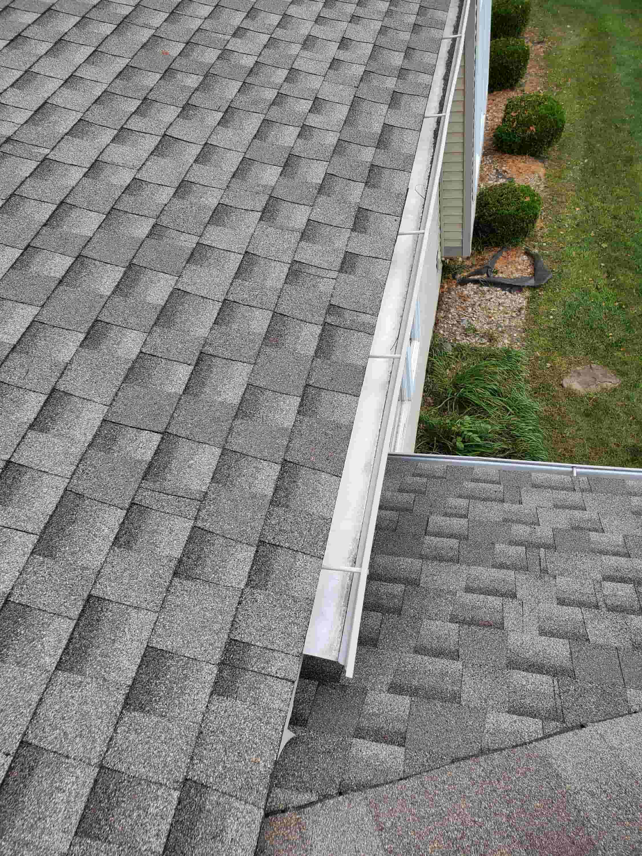 professional gutter cleaning services