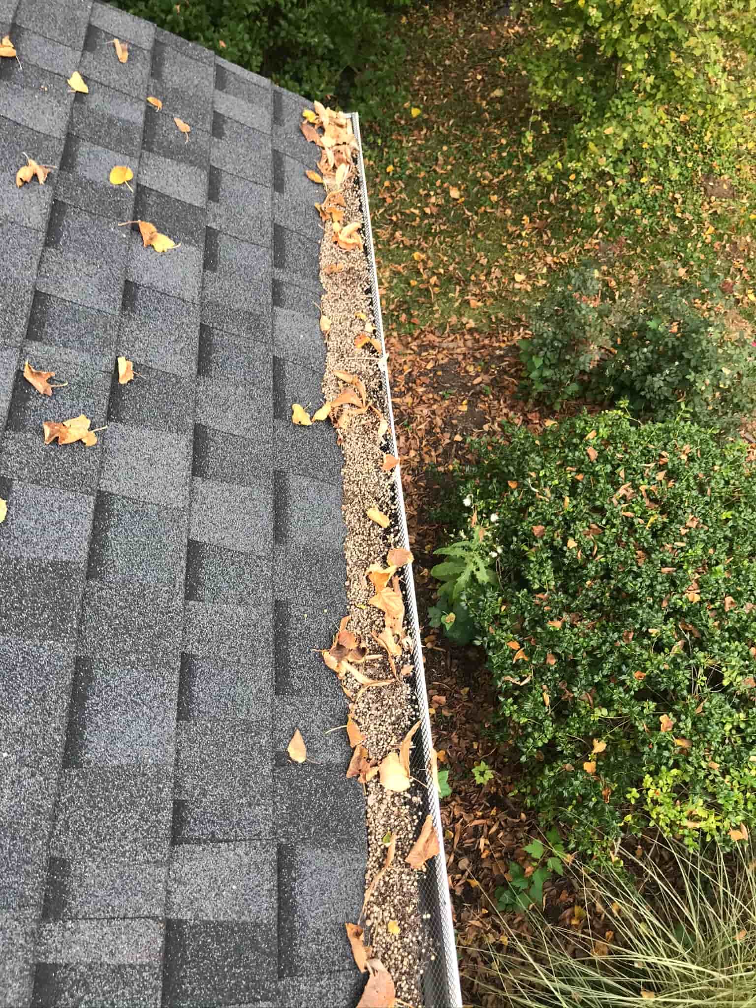 rain gutters cleaning