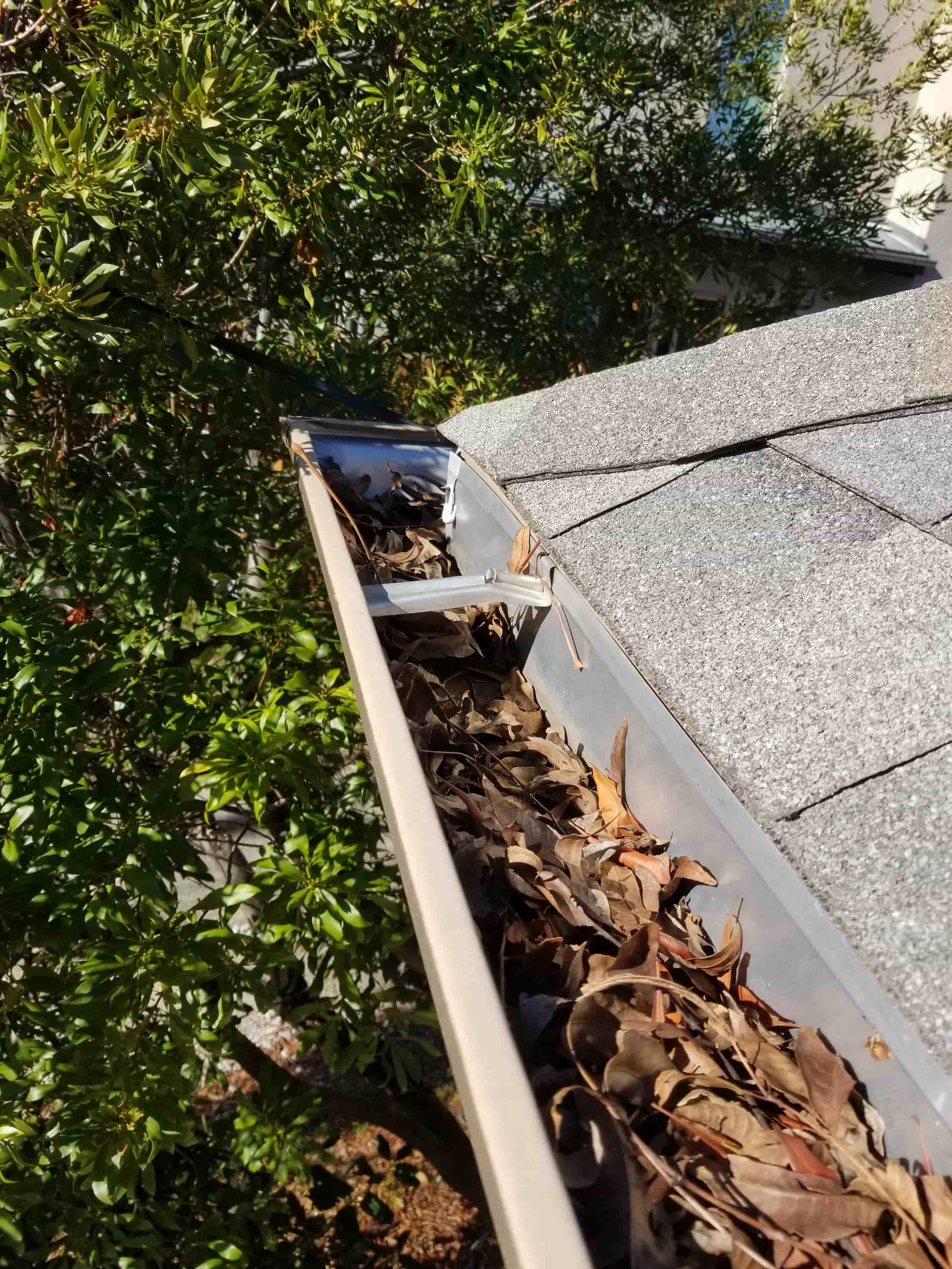 gutters and ladders