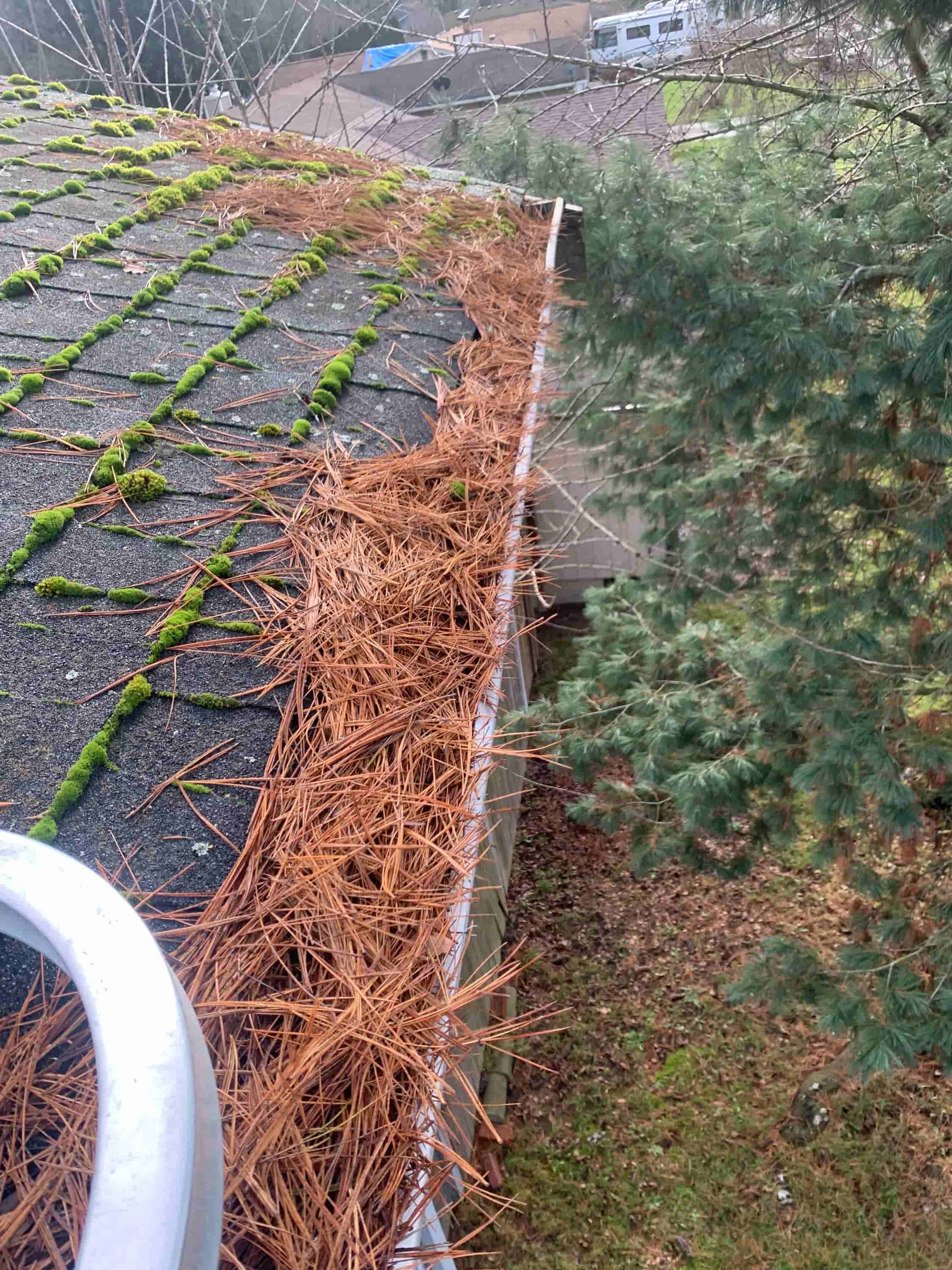 leaf blower gutter attachment