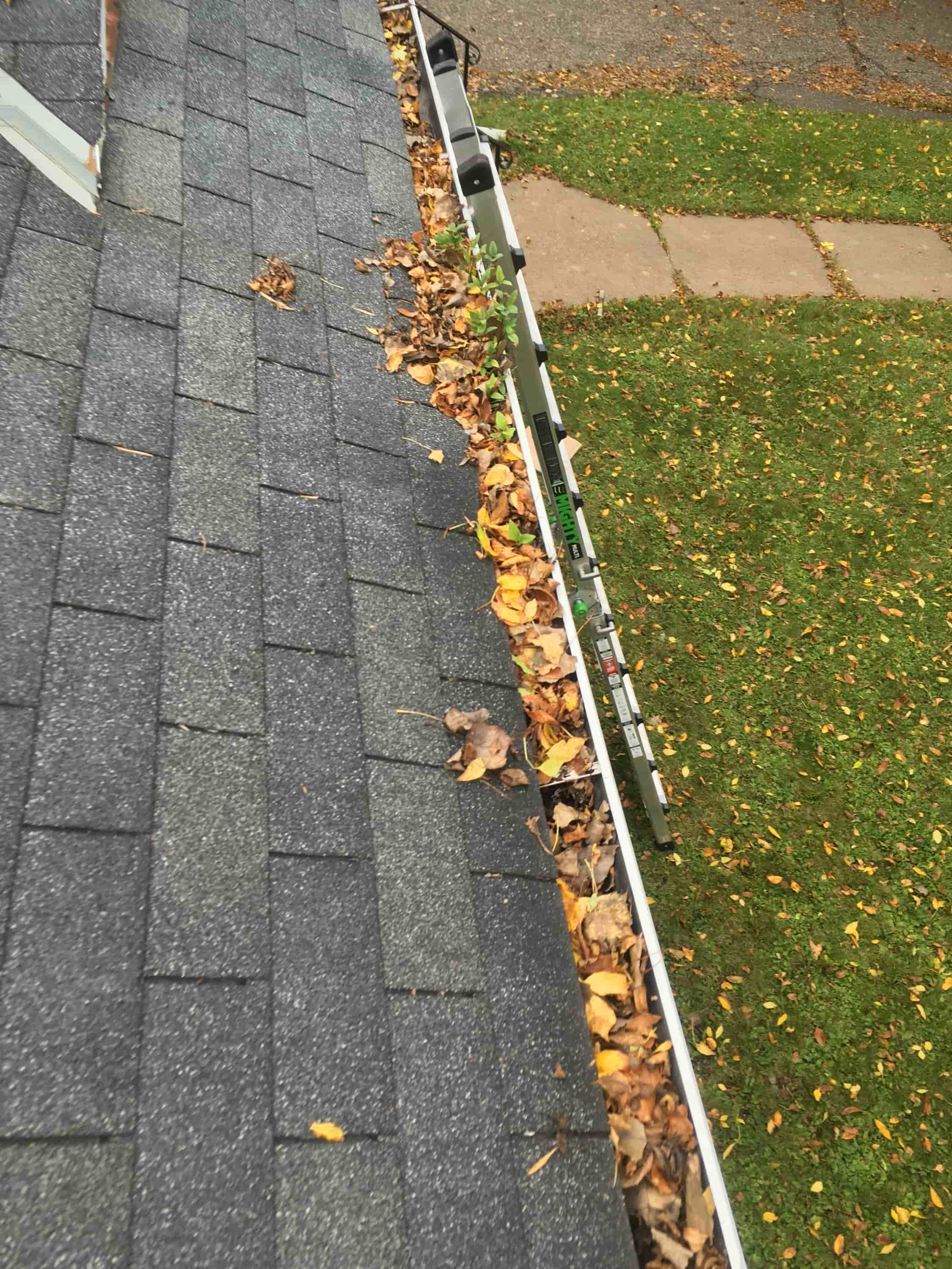 gutter cleaning eastern suburbs sydney