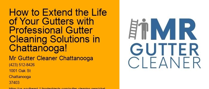 How to Extend the Life of Your Gutters with Professional Gutter Cleaning Solutions in Chattanooga!