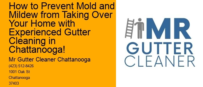 How to Prevent Mold and Mildew from Taking Over Your Home with Experienced Gutter Cleaning in Chattanooga!