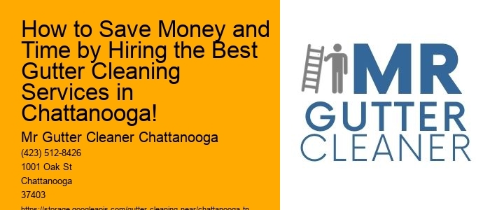 How to Save Money and Time by Hiring the Best Gutter Cleaning Services in Chattanooga!