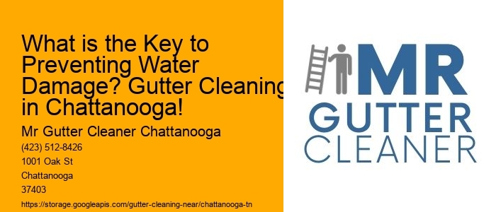 What is the Key to Preventing Water Damage? Gutter Cleaning in Chattanooga!