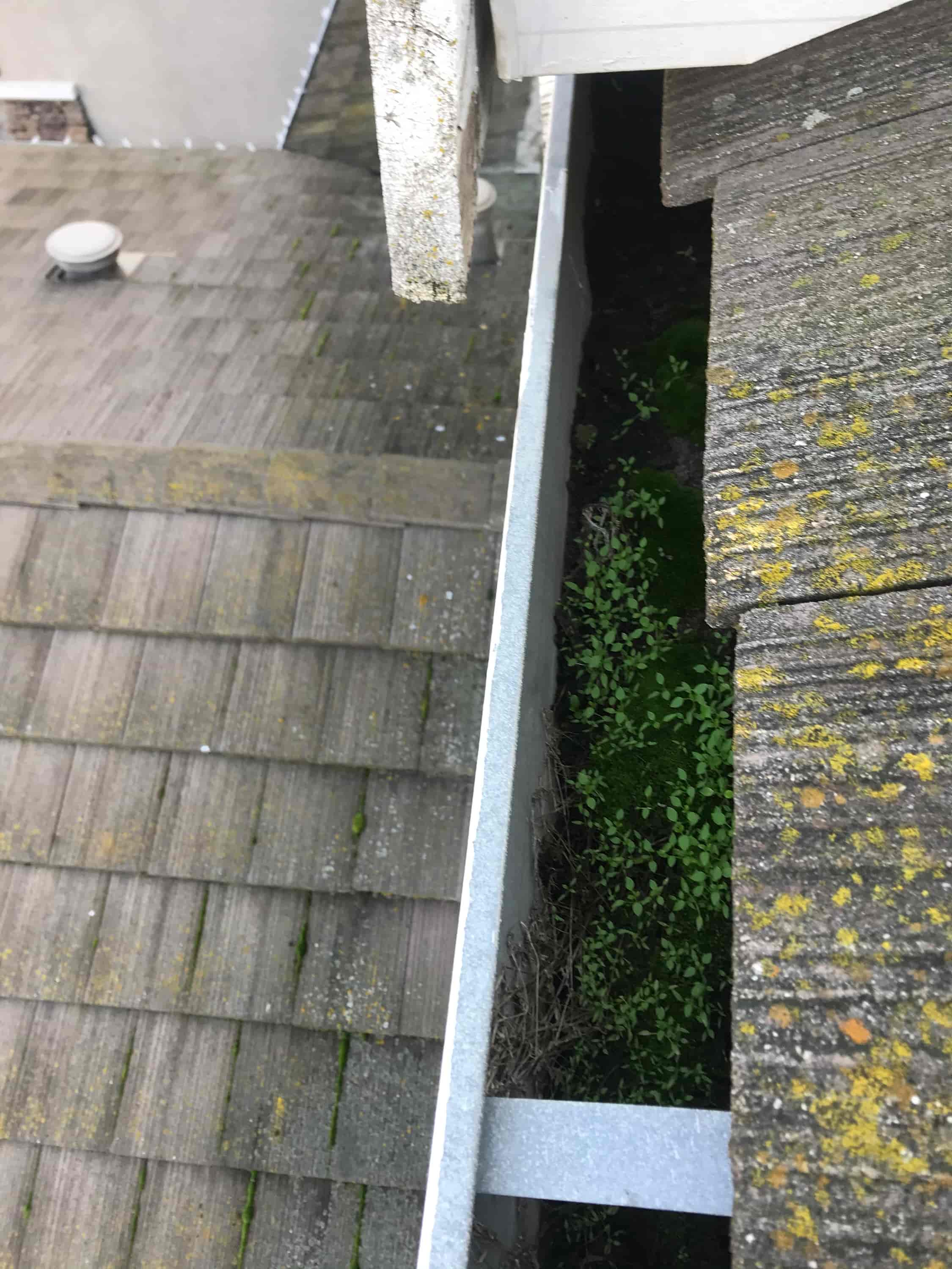 roof gutter cleaner near me