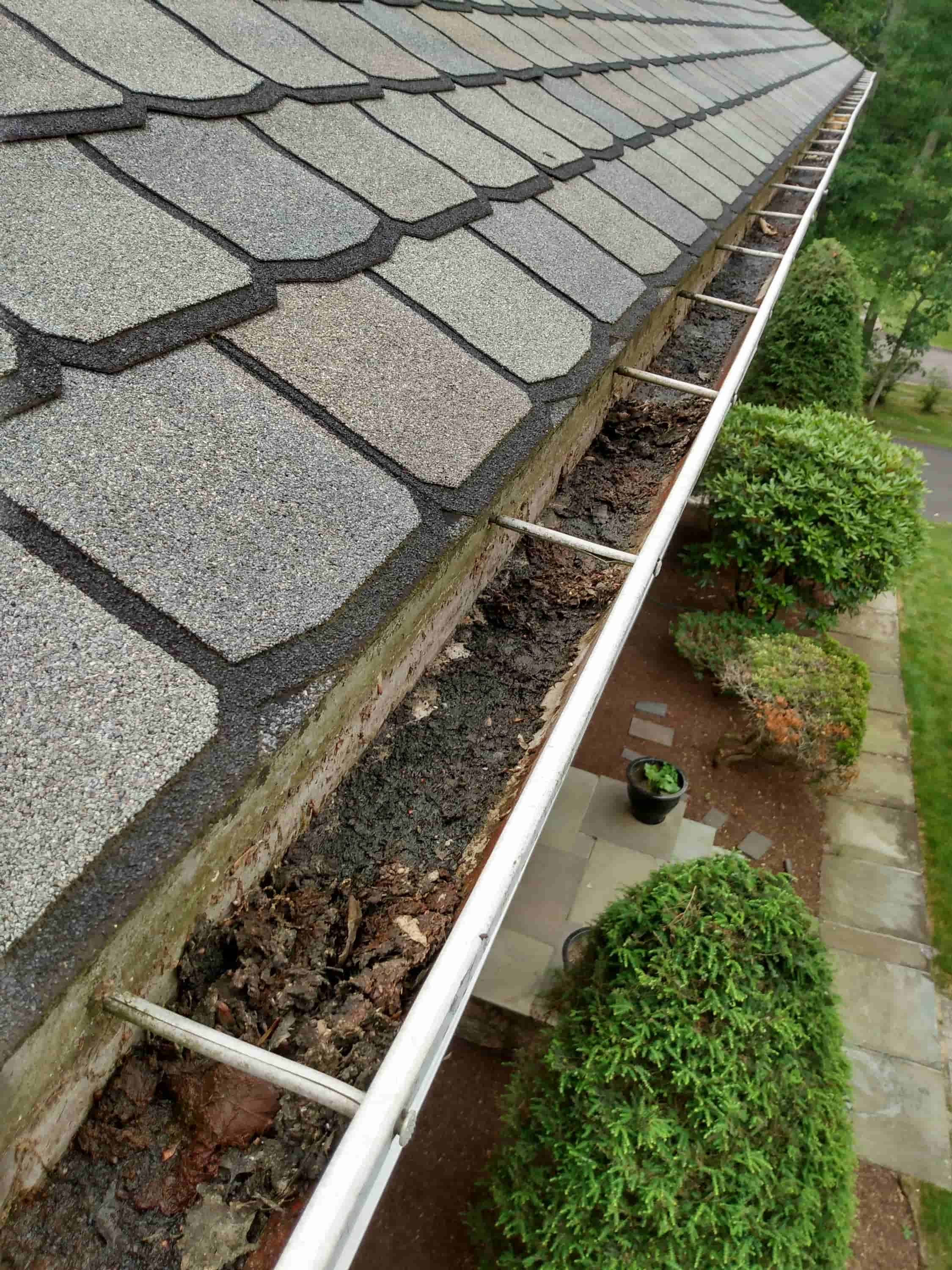 leaf gutter cleaning