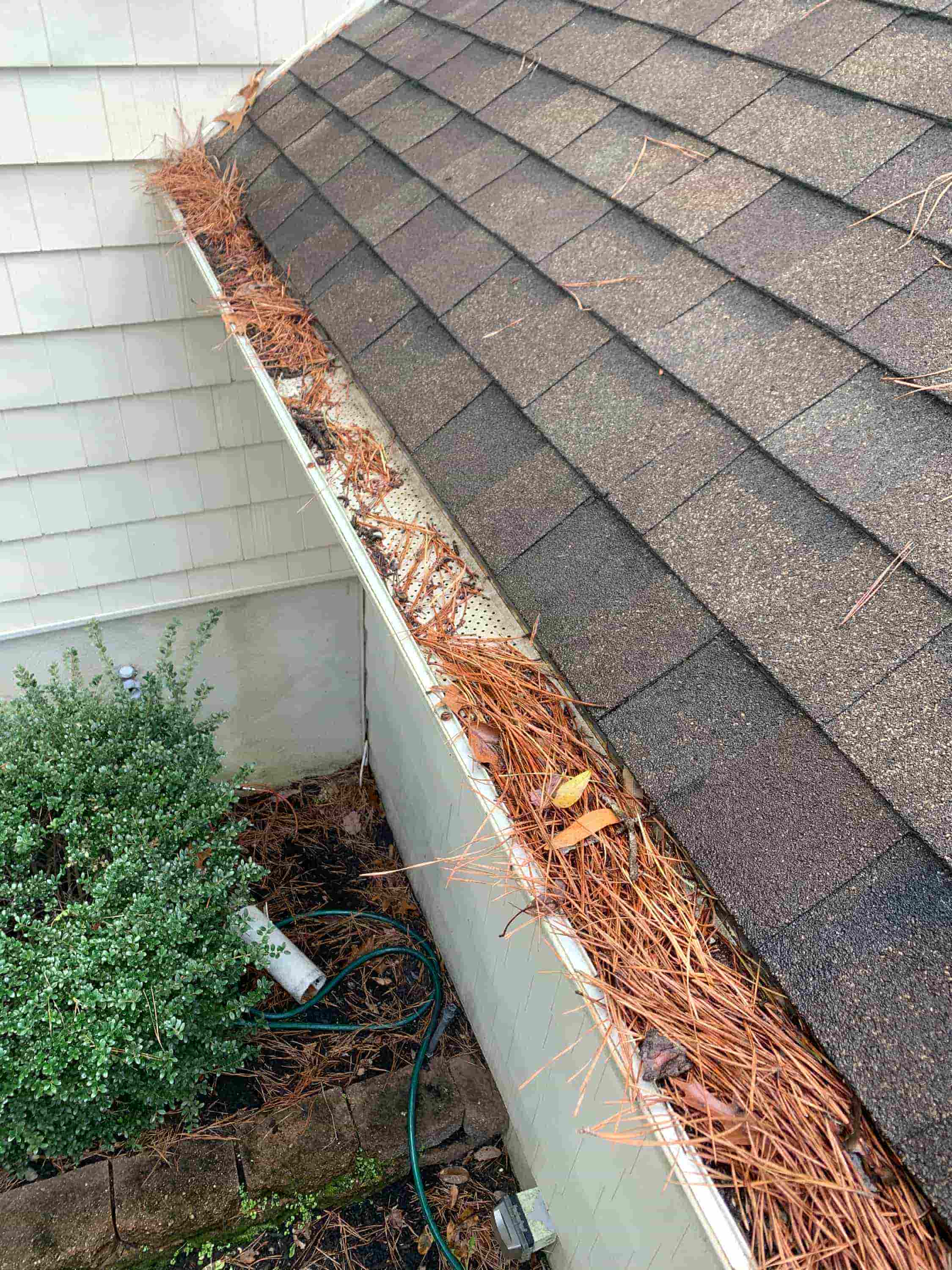 cleaning gutters