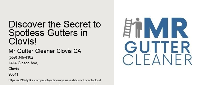 Discover the Secret to Spotless Gutters in Clovis! 