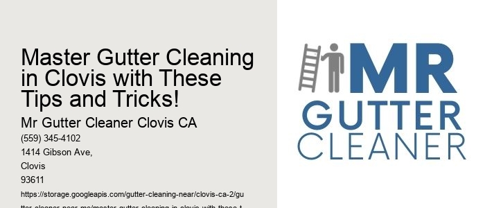 Master Gutter Cleaning in Clovis with These Tips and Tricks! 