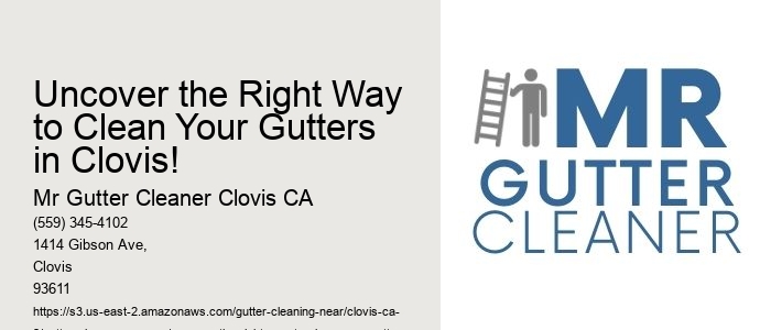 Uncover the Right Way to Clean Your Gutters in Clovis! 