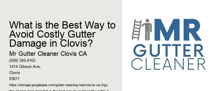 What is the Best Way to Avoid Costly Gutter Damage in Clovis?