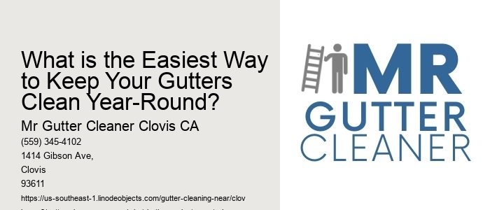 What is the Easiest Way to Keep Your Gutters Clean Year-Round? 