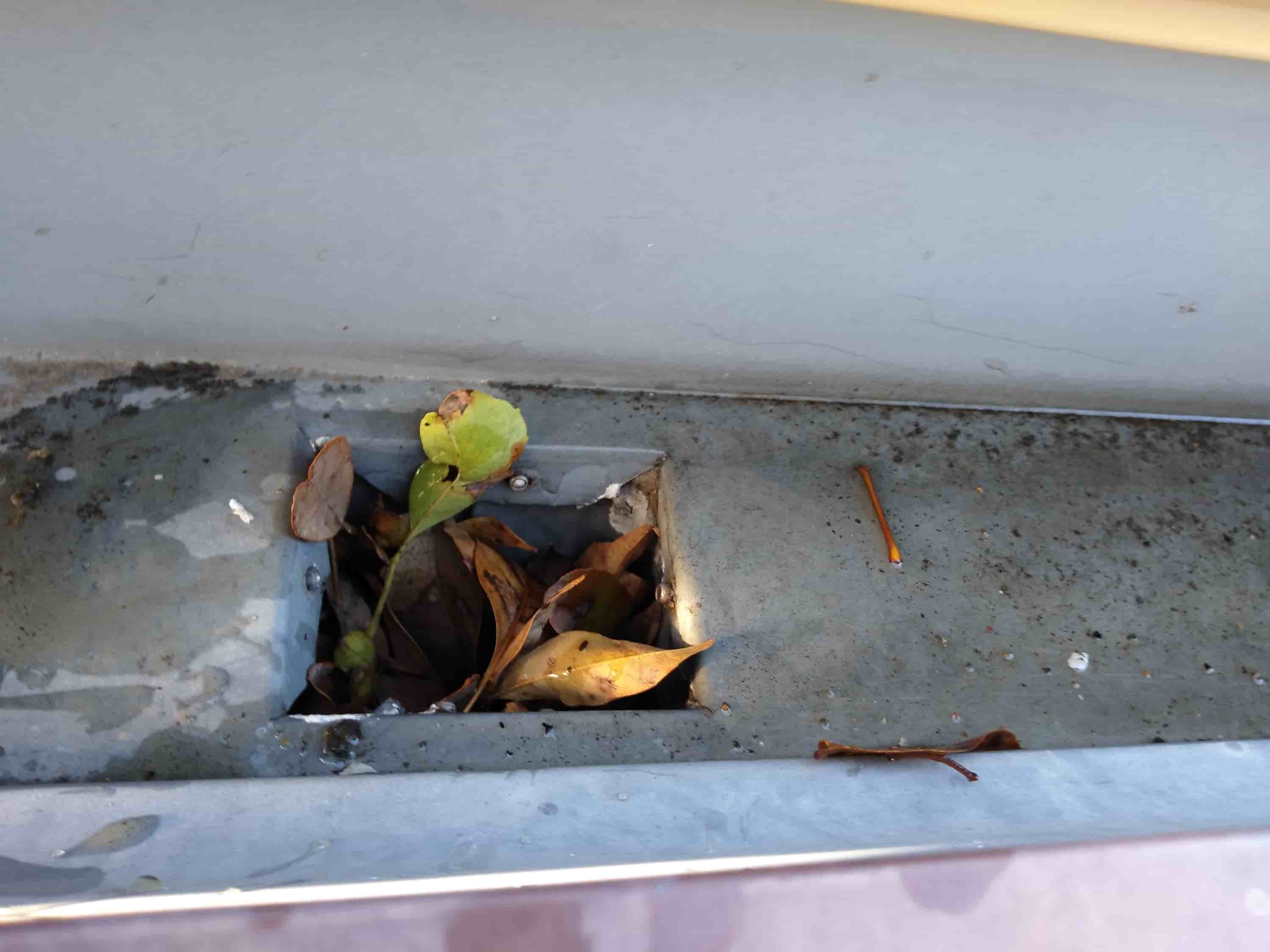 using leaf blower to clean gutters