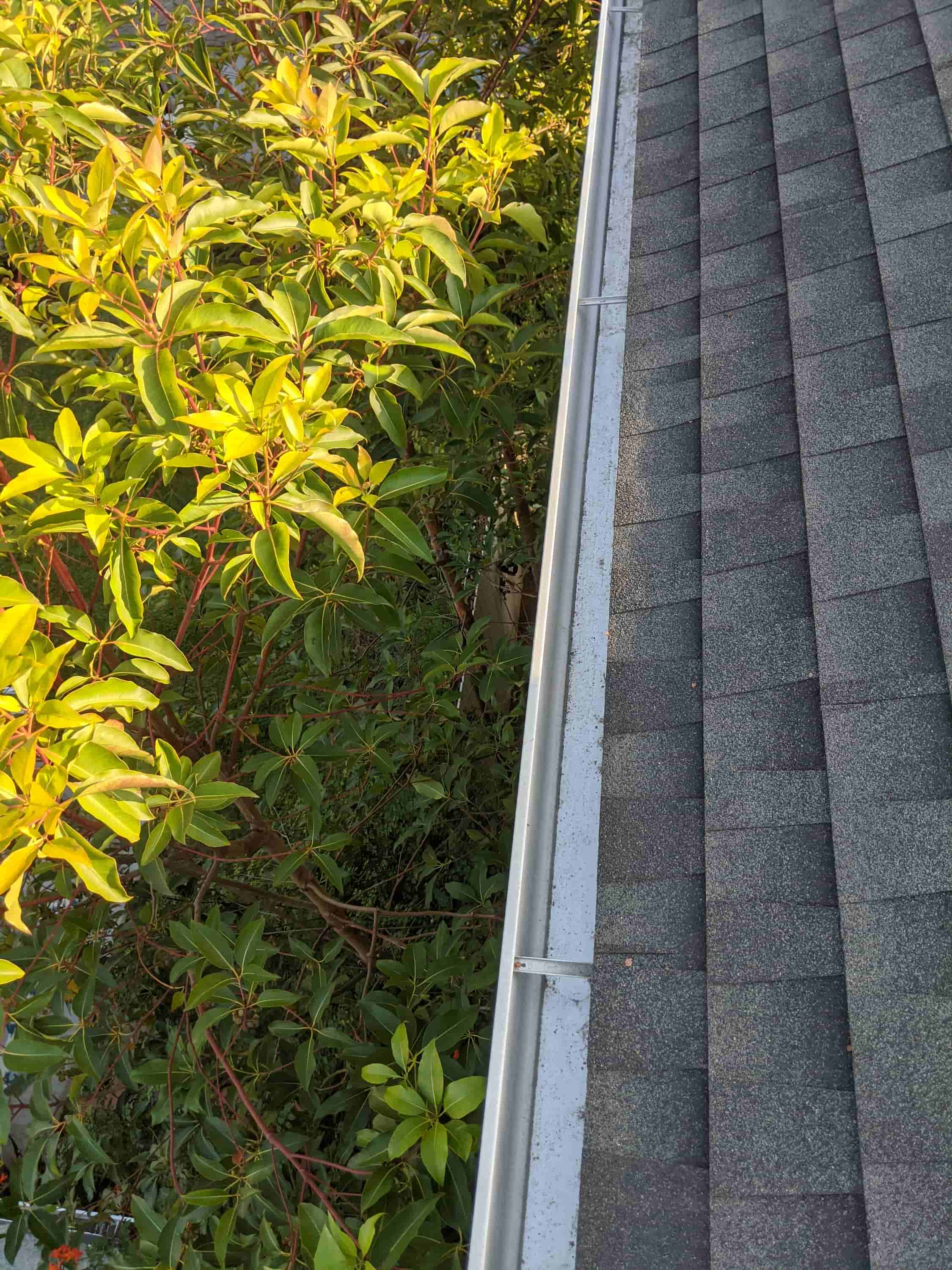 how to clean gutters on house