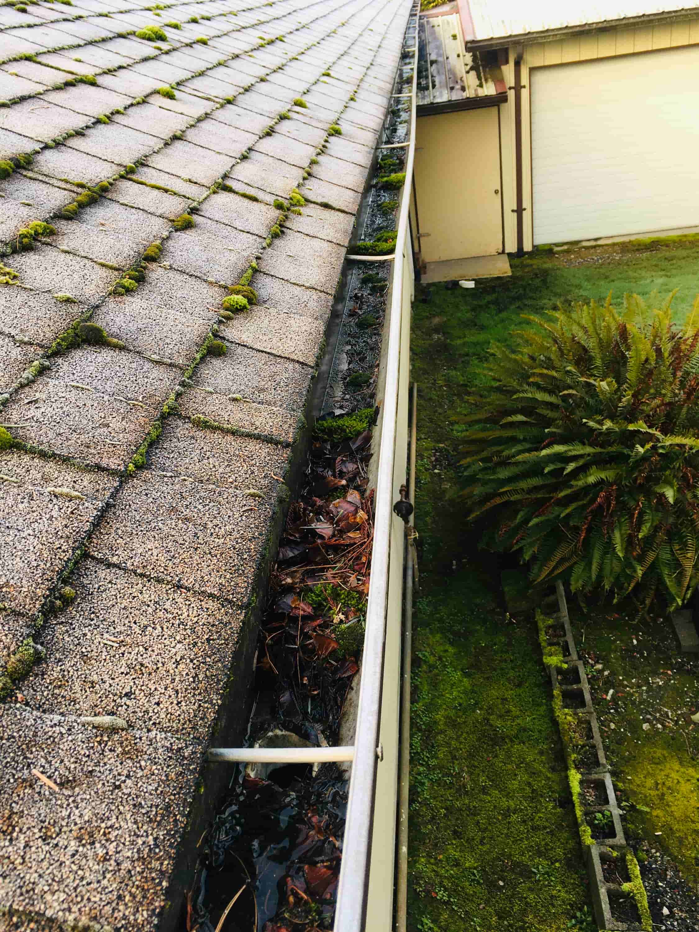 leaf blower clean gutters