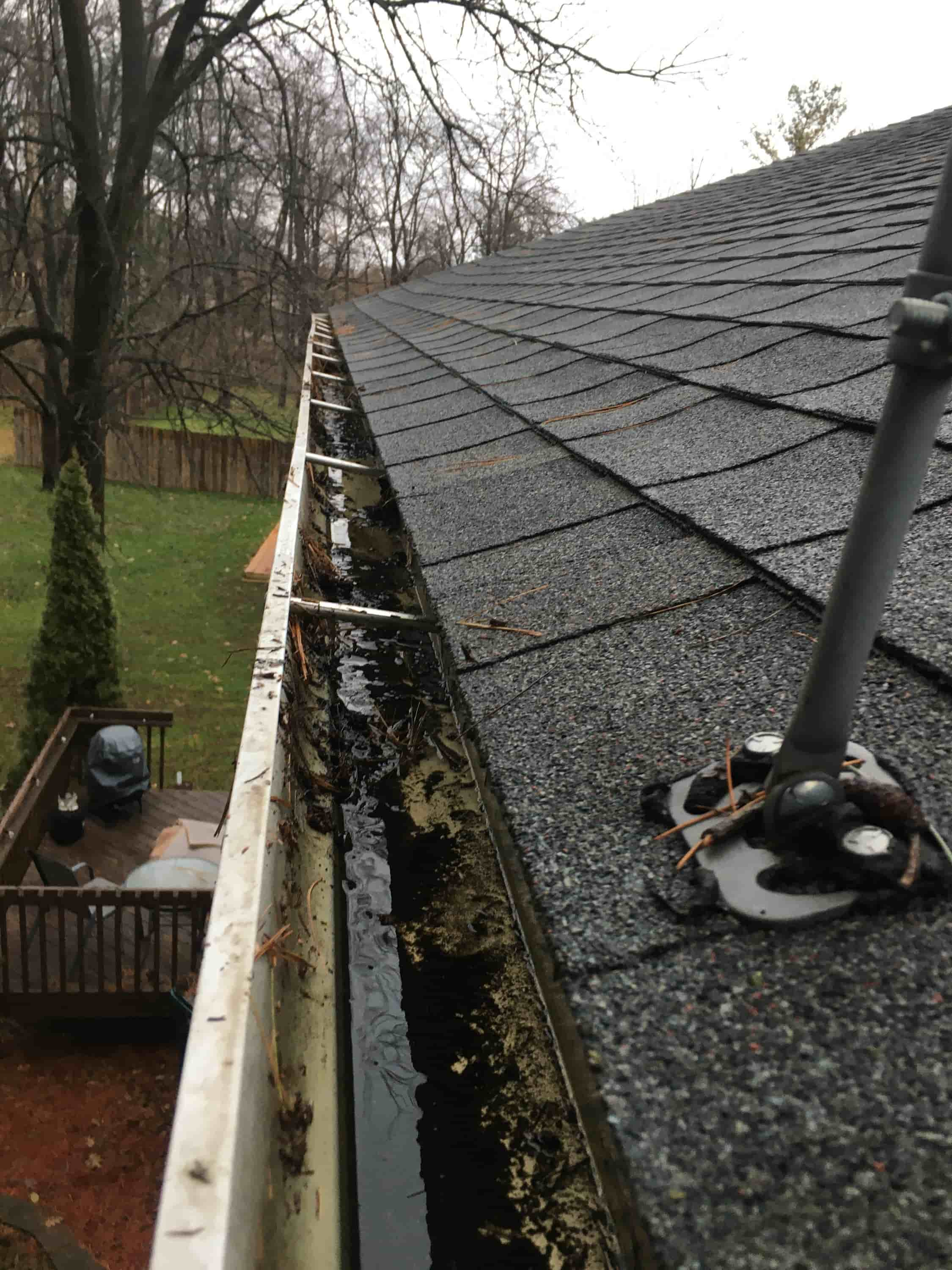 gutter cleaning services