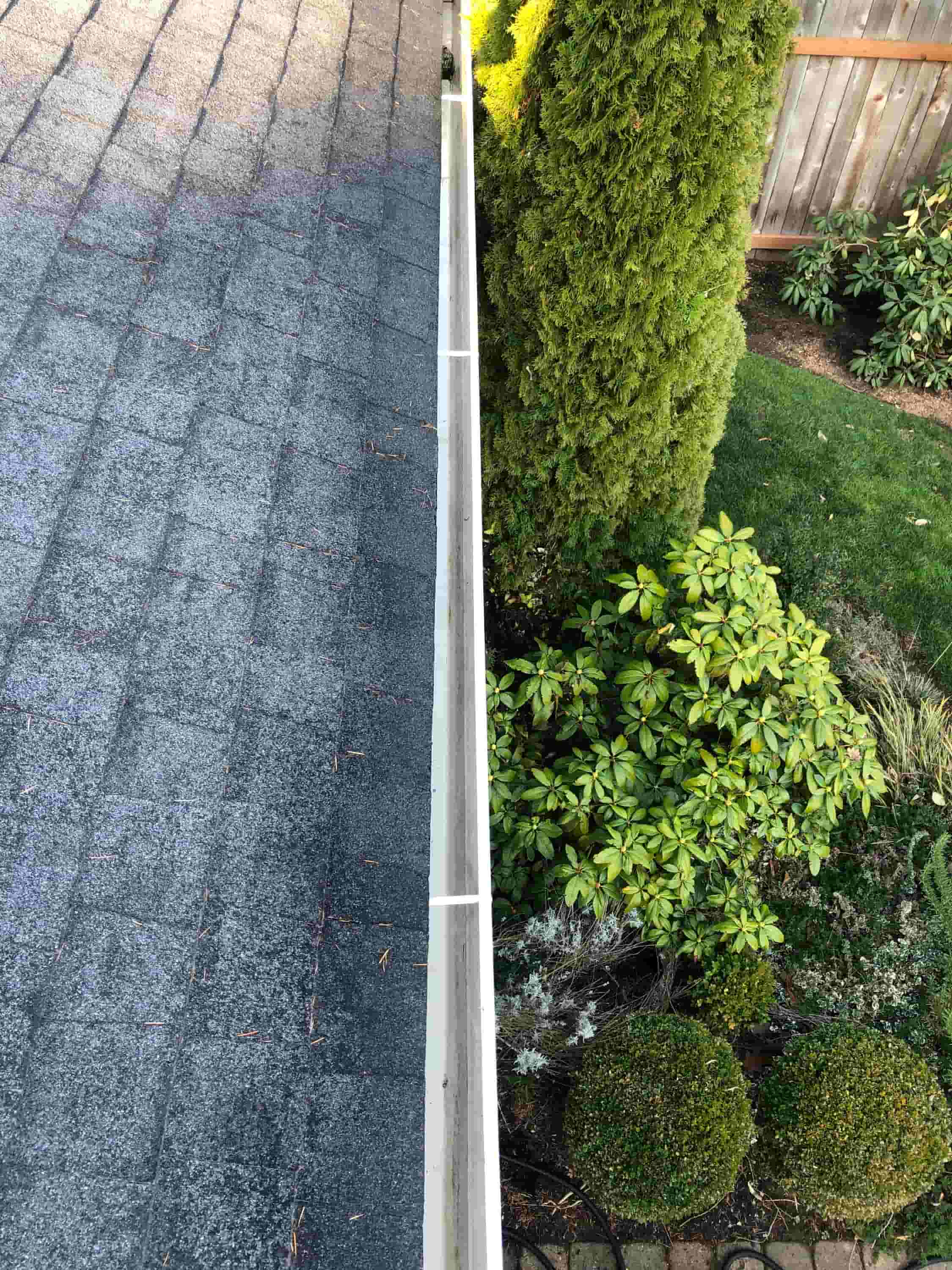 gutter cleanout