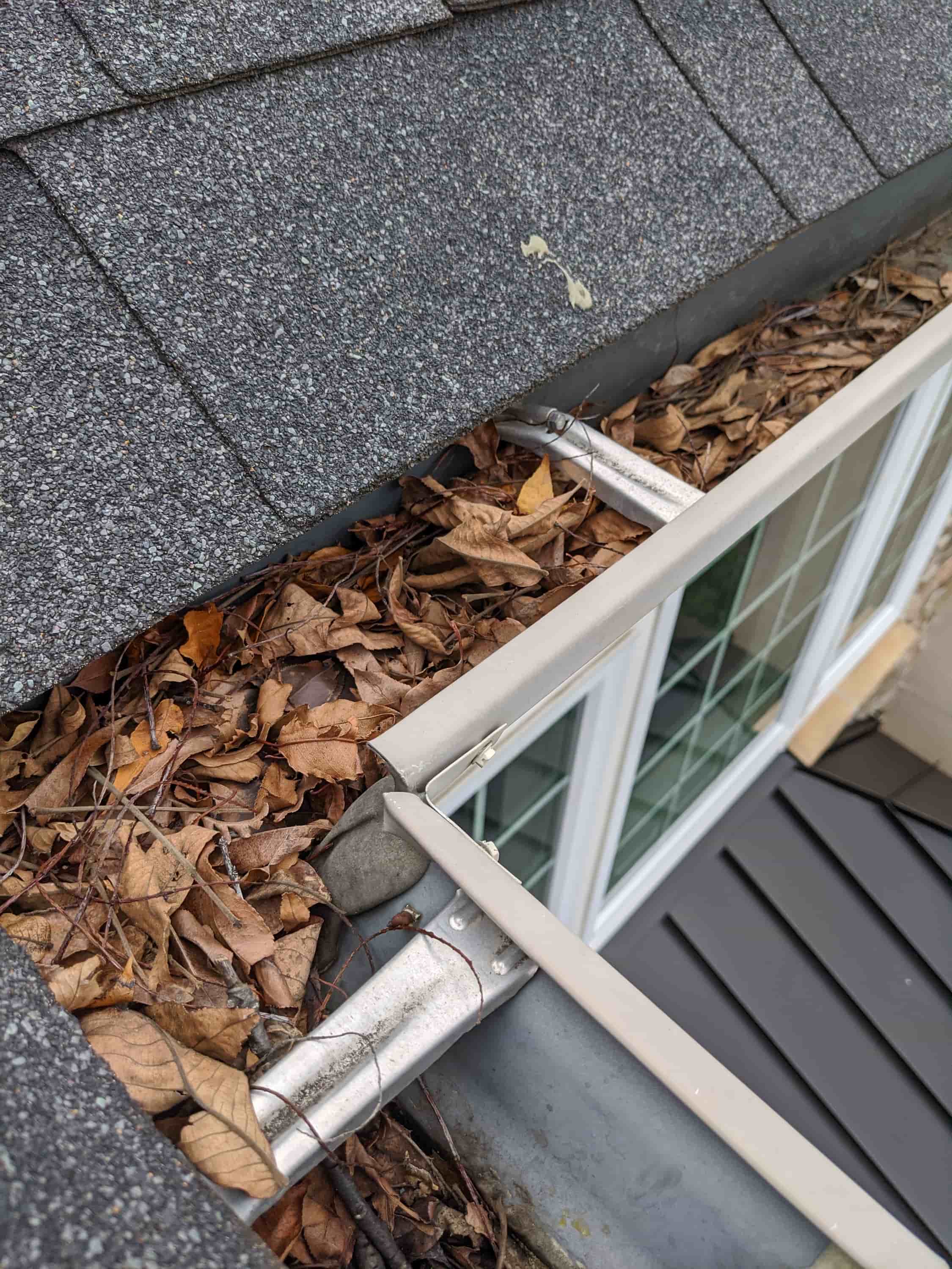 clean gutter cost