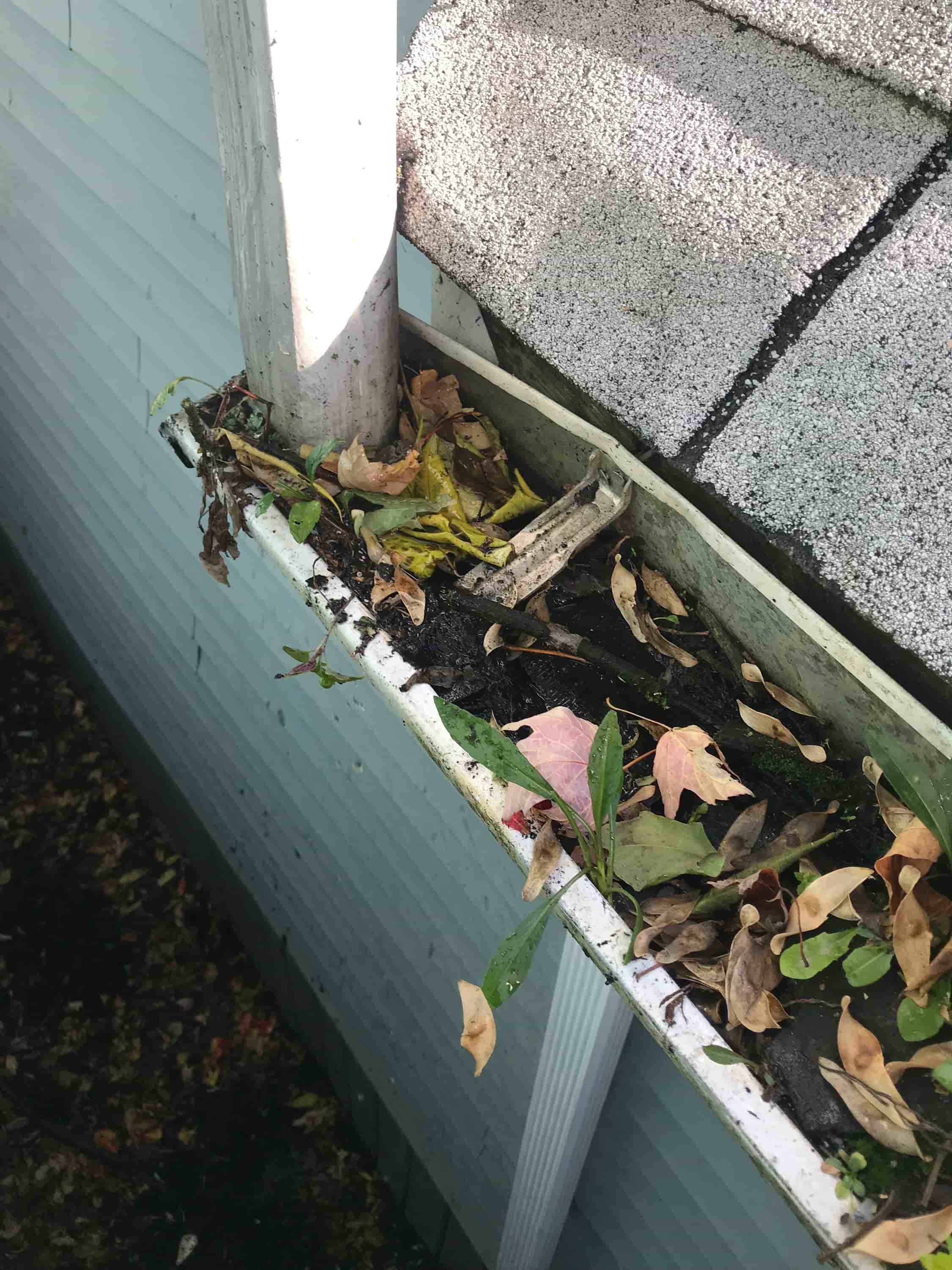ladder for cleaning gutters