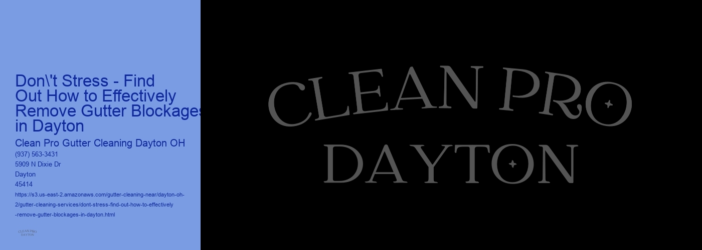 Don't Stress - Find Out How to Effectively Remove Gutter Blockages in Dayton 