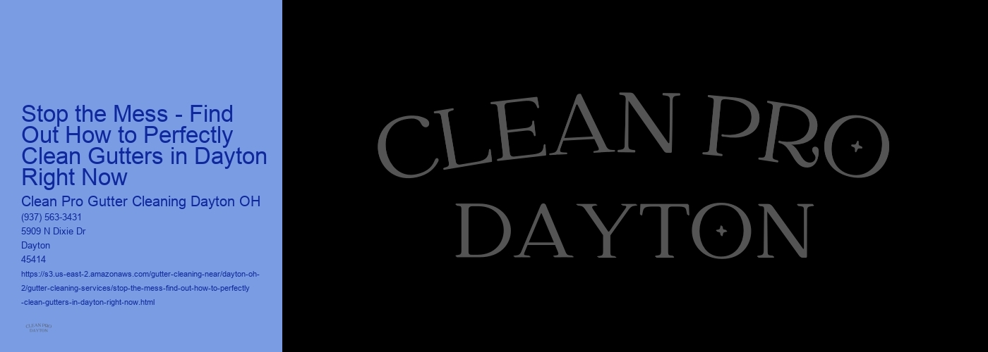 Stop the Mess - Find Out How to Perfectly Clean Gutters in Dayton Right Now 