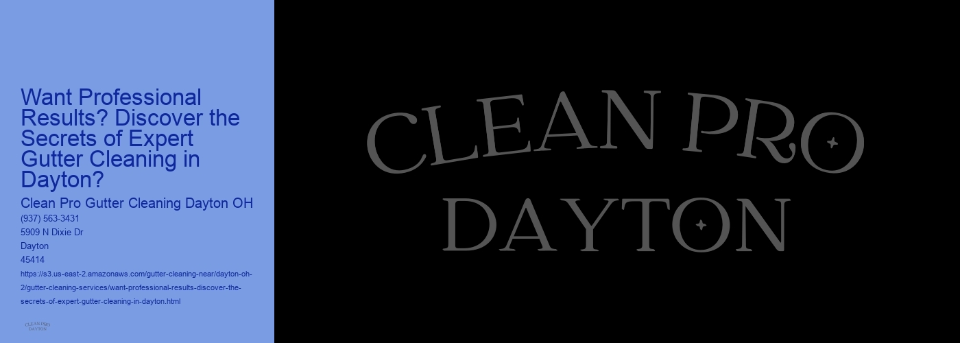 Want Professional Results? Discover the Secrets of Expert Gutter Cleaning in Dayton?