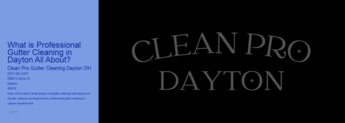 What is Professional Gutter Cleaning in Dayton All About? 