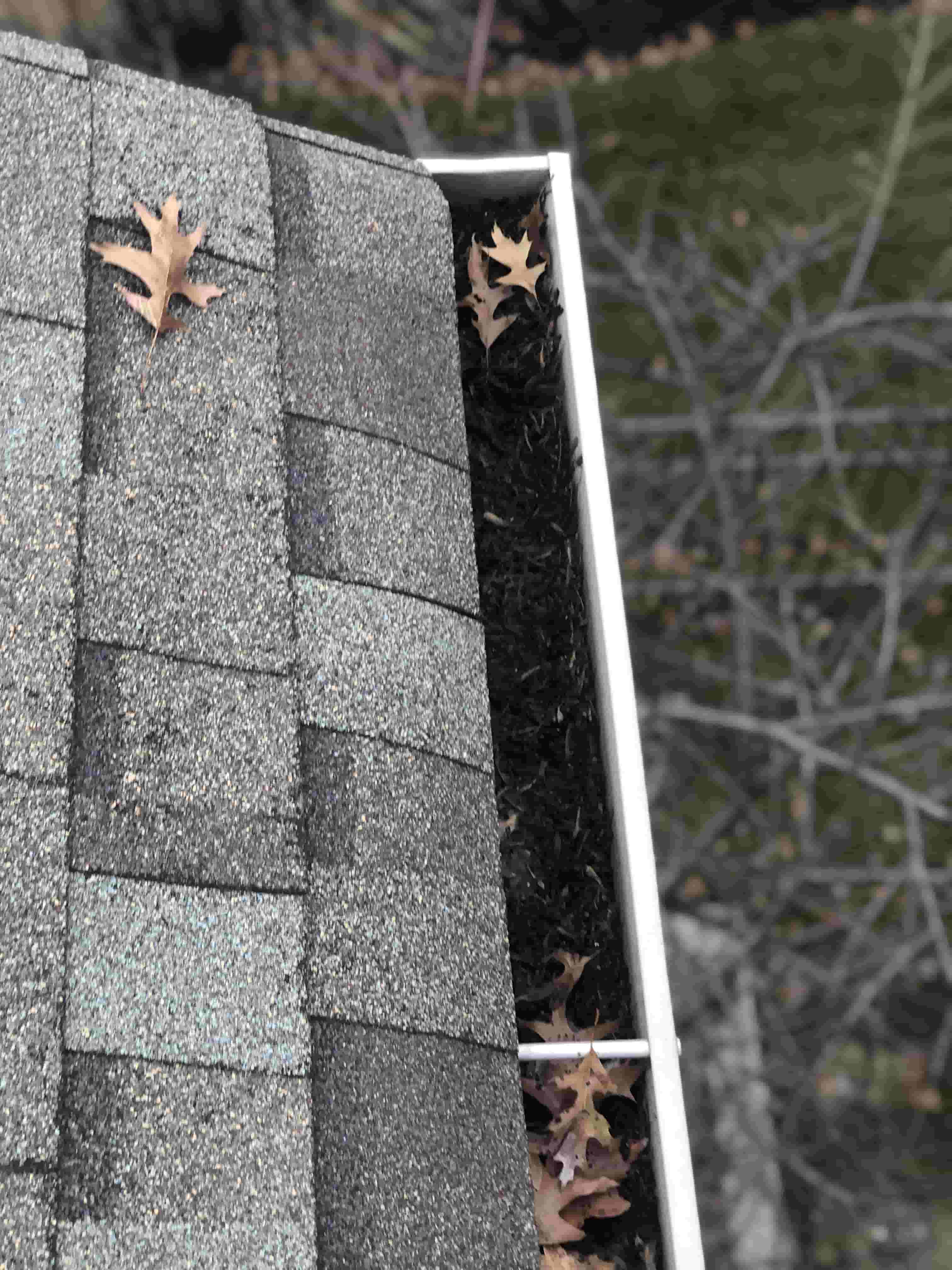 gutter cleaning near me cost