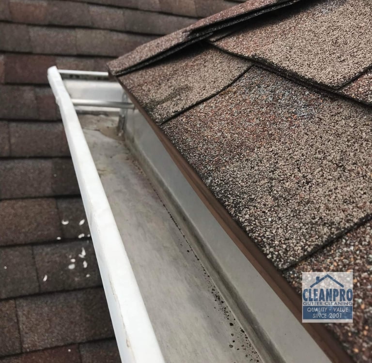 gutter cleaning importance