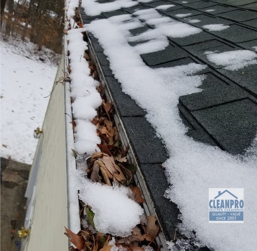 cleaning gutters service