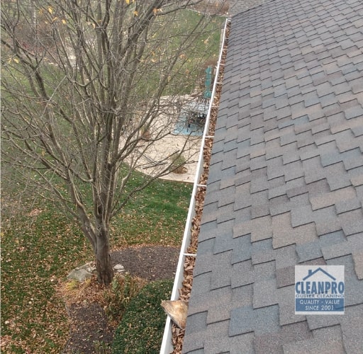 best gutter cleaning near me