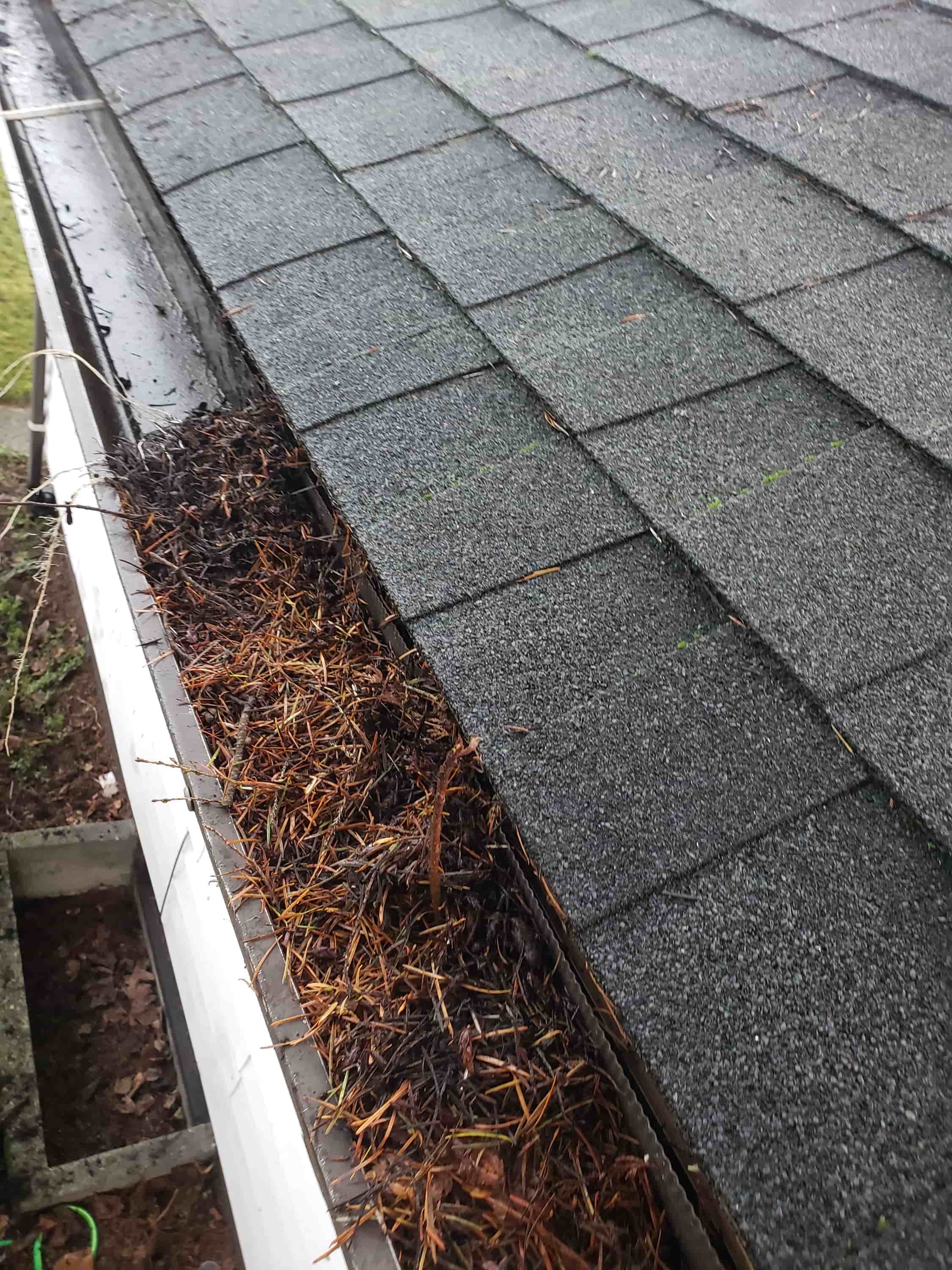 gutter cleaning tools from the ground