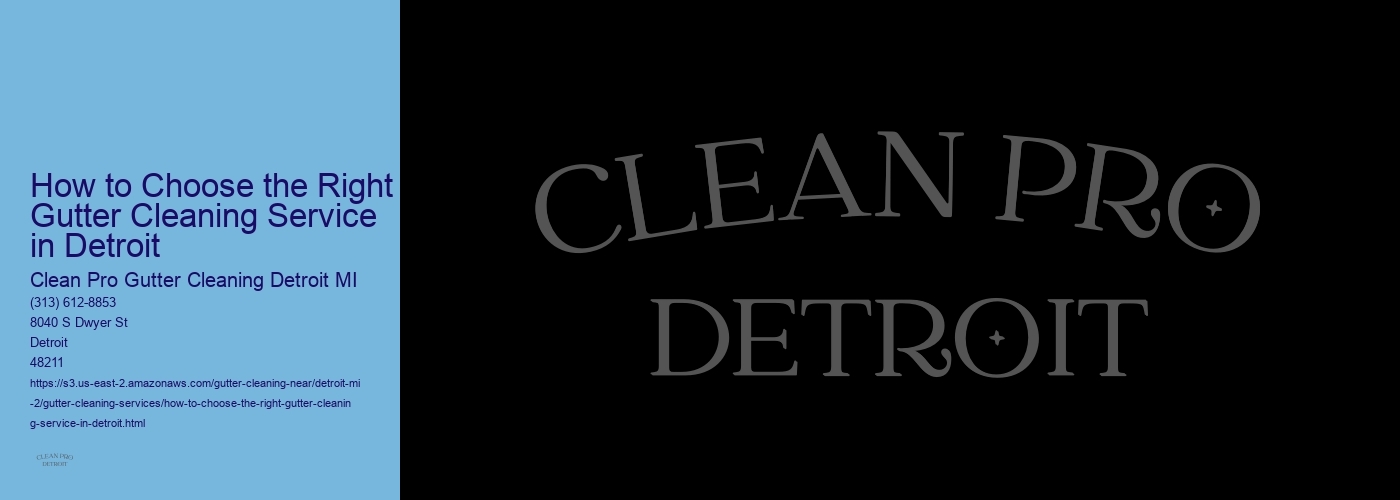 How to Choose the Right Gutter Cleaning Service in Detroit