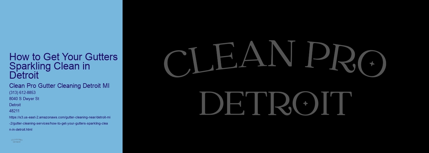 How to Get Your Gutters Sparkling Clean in Detroit