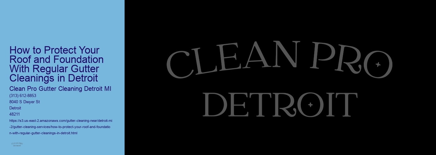 How to Protect Your Roof and Foundation With Regular Gutter Cleanings in Detroit 