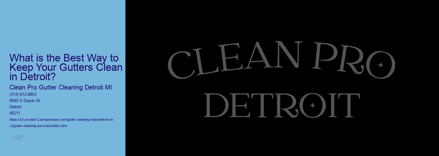 What is the Best Way to Keep Your Gutters Clean in Detroit?