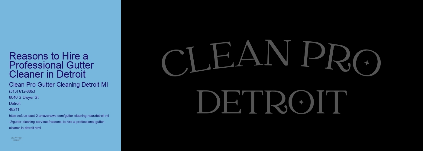 Reasons to Hire a Professional Gutter Cleaner in Detroit
