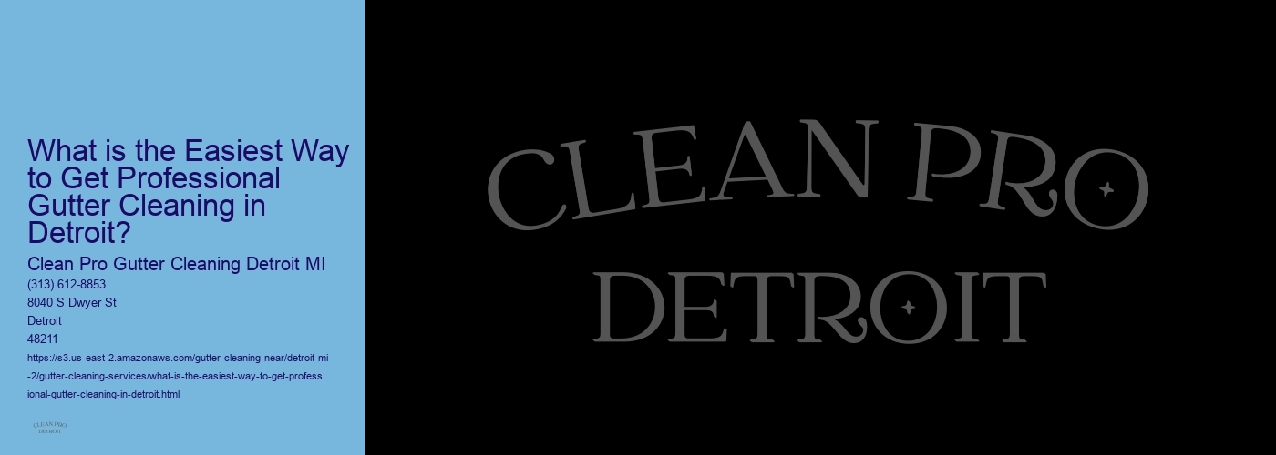 What is the Easiest Way to Get Professional Gutter Cleaning in Detroit?